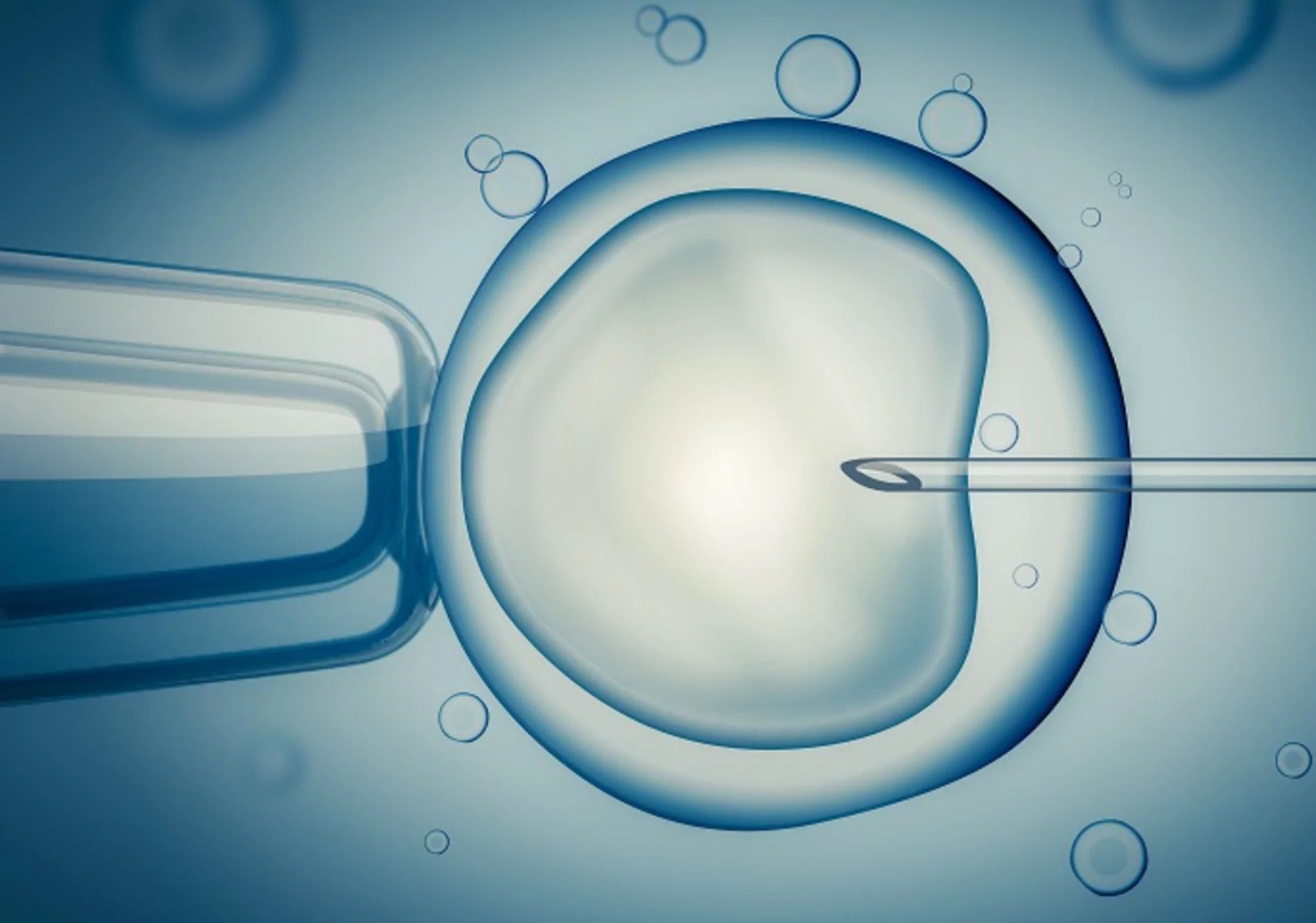 Labokraft.hu • Image and Text