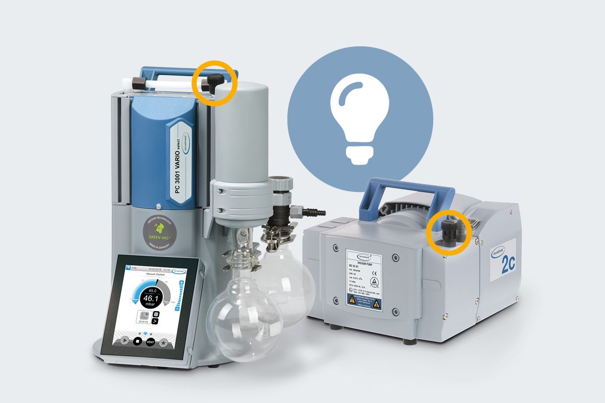 Labokraft.hu • Image and Text