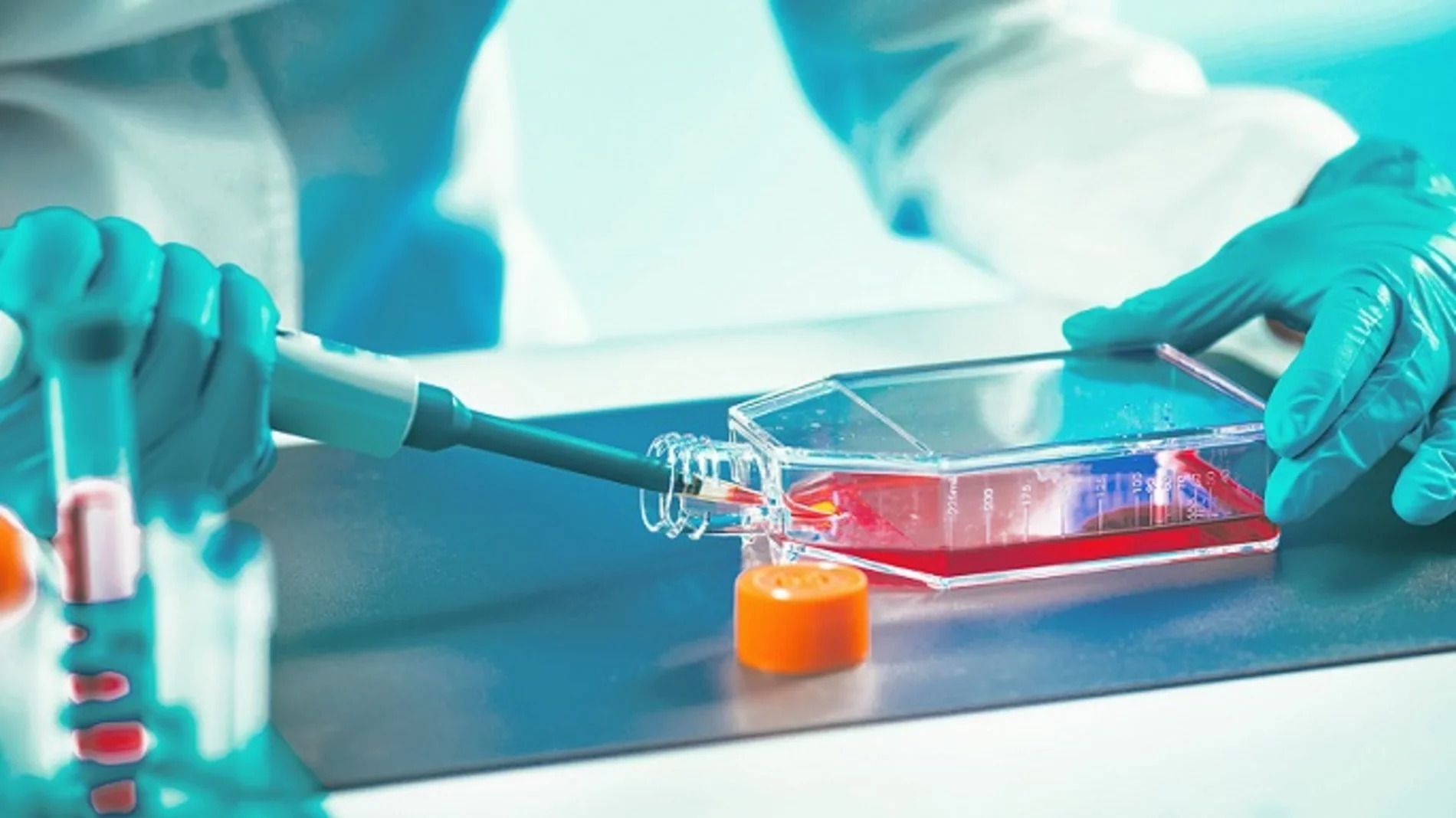 Labokraft.hu • Text and Image