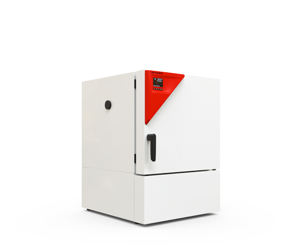 Binder KB 65 hűthető inkubátor