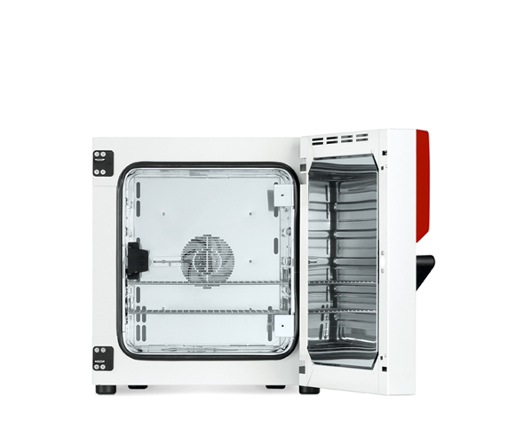 Binder BF 56 ventilátor légkeveréses mikrobiológiai inkubátor