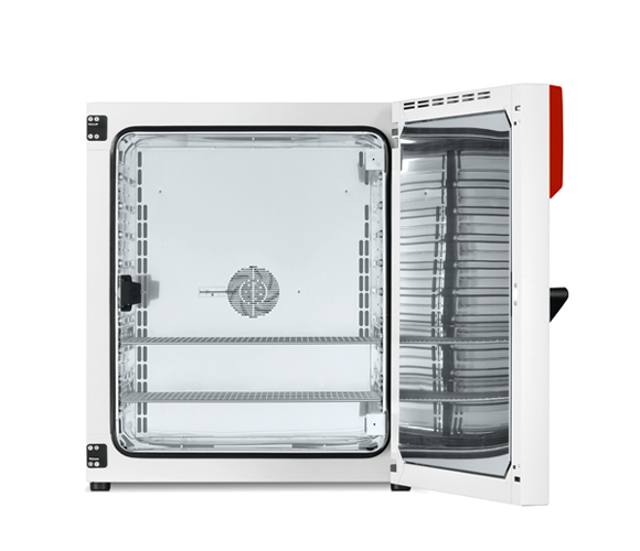Binder BF 260 ventilátor légkeveréses mikrobiológiai inkubátor
