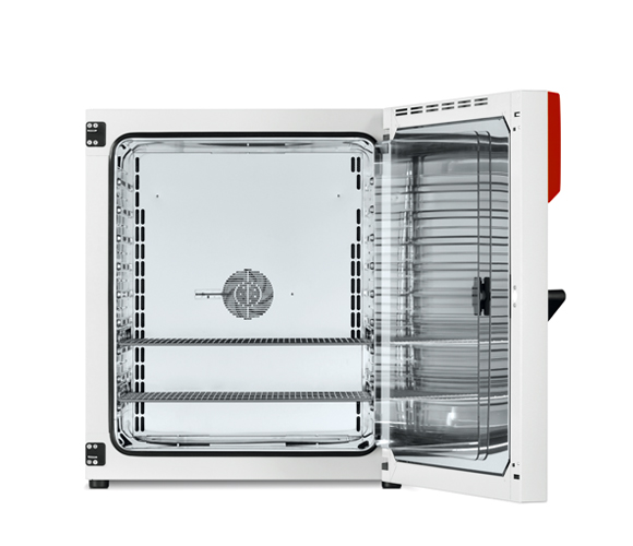 Binder BF 260 ventilátor légkeveréses mikrobiológiai inkubátor