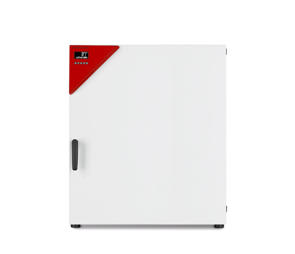 Binder BD 260 standard-incubator with natural convection