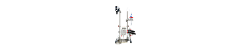 Heidolph Hei-REACT 1 L Lab Reactor